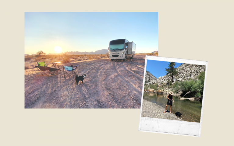 How to Plan the Ultimate Road Trip, from an Expert