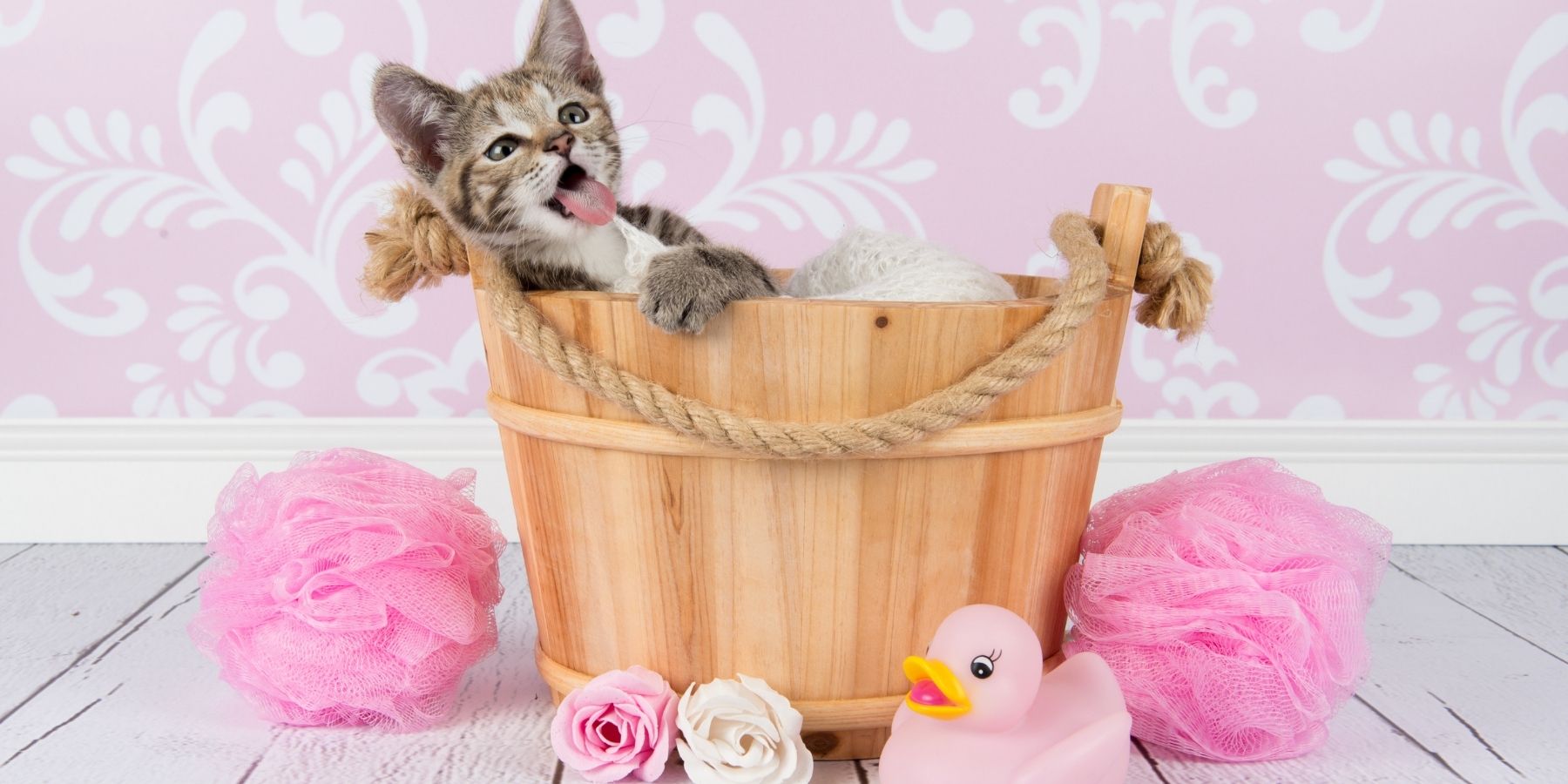 How to Safely Give Your Cat a Flea Bath: A Step-by-Step Guide Introduction