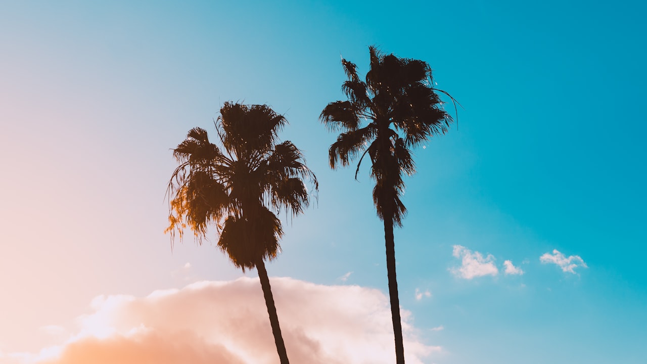 Summer Fun with Miracle Ear