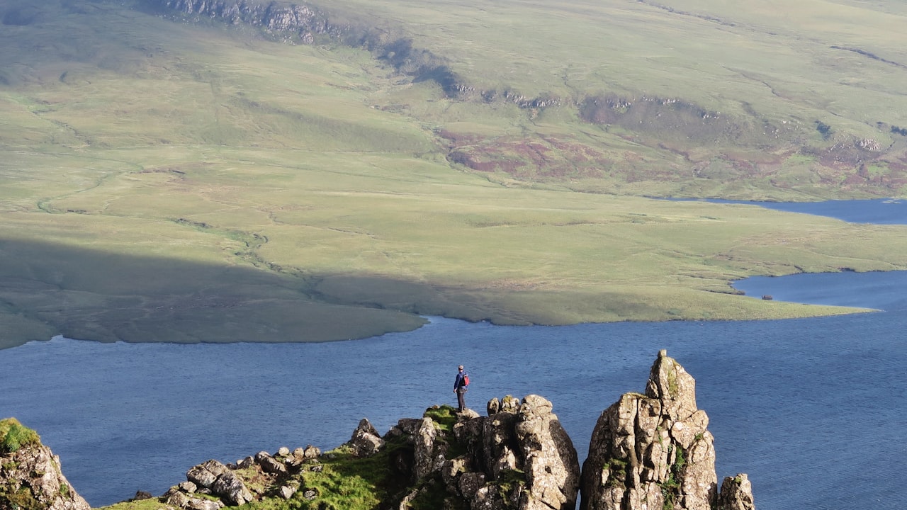 What to Look for If You Want a High-Performance 2JZ Engine