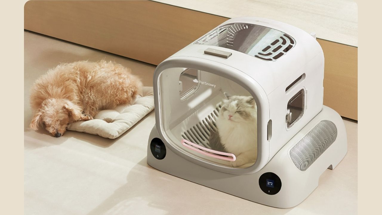 Pet Grooming Appliance Purchasing Advice: Key Characteristics to Consider